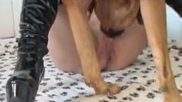 Zoo sex зоофилка в латексе трахается с собакой смотреть онлайн