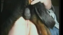 Zoo porn video возбужденная дворняжка ебет в письку хозяйку порно зоо частное
