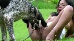 Черномазая скотоложница устроила классный оральный секс с кобелем на полянке