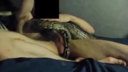 Извращенец эротично дрючит гадину в дырочку zoo porn videos
