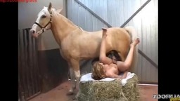 Секс с лошадью большим хуем конь размял очко трансу видео зоопорно