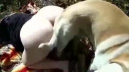 Sex dog дева с классной жопой поеблась с четвероногим другом в лесу порнозоо фильм