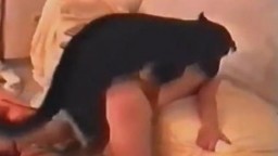 Porn video zoo боевитый волкодав дрючит в писю милашку приватное зоо