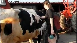 Молодая девка занимается сексом с коровой зоо порно видео с животными