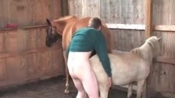 Гомосек в зоо порно видео трахает невысокую лошадку смотреть бесплатно онлайн