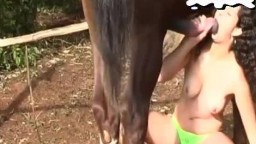 Латинская зоофилка классно поеблась с конем - порнушка с животными видео